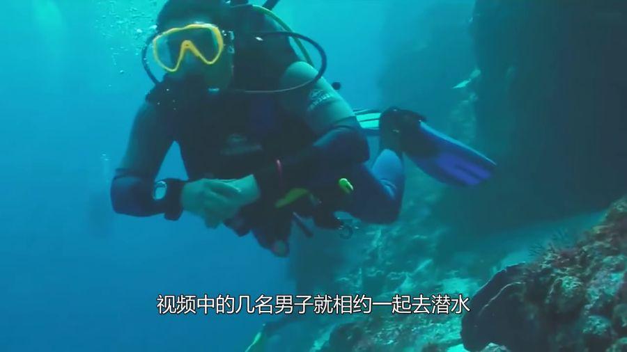穿越遗弃的森林